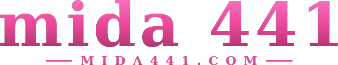 mida 441 logo